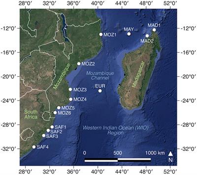 Coastal Landform Constrains Dispersal in Mangroves